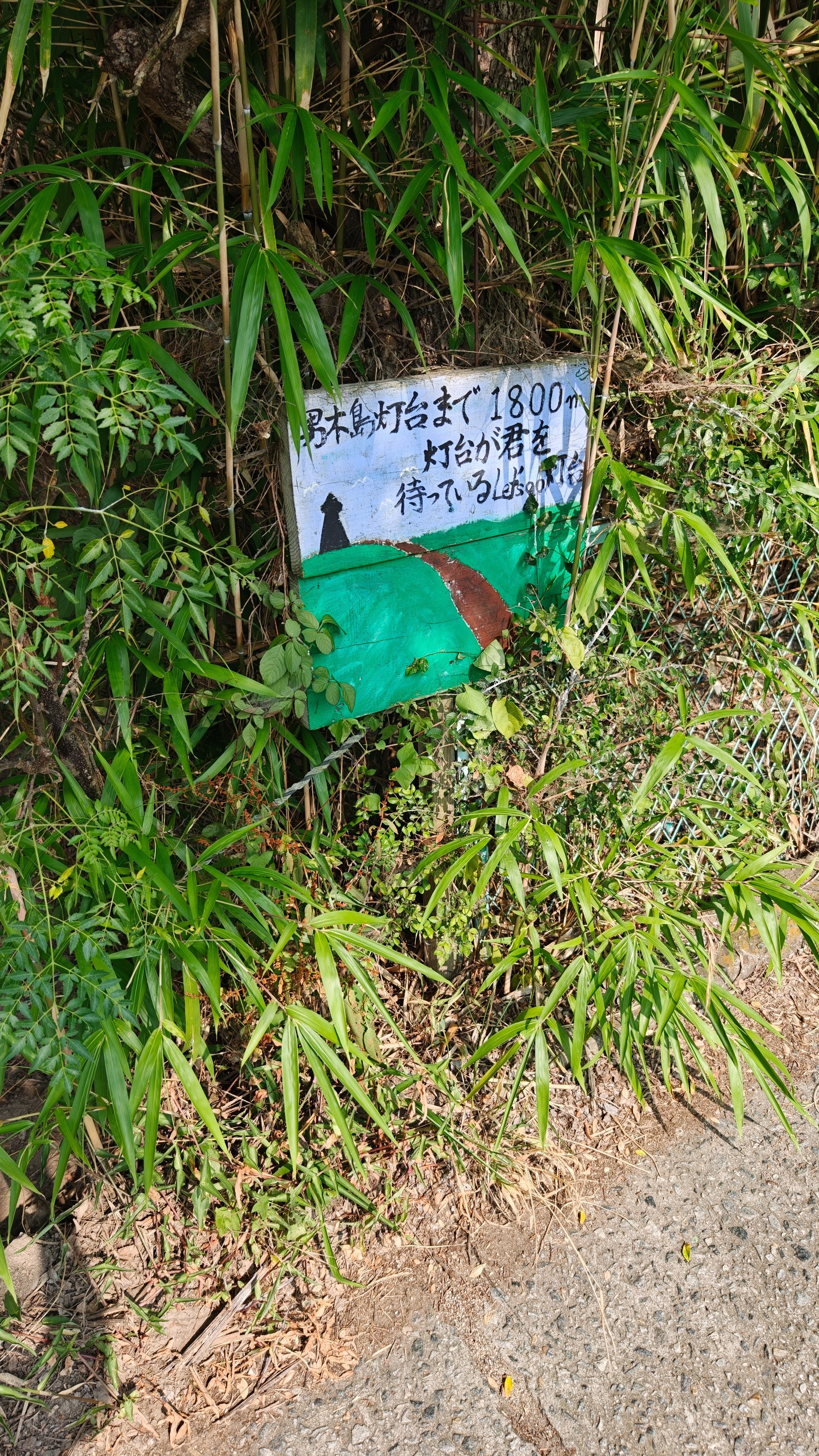 IMG20250710085110