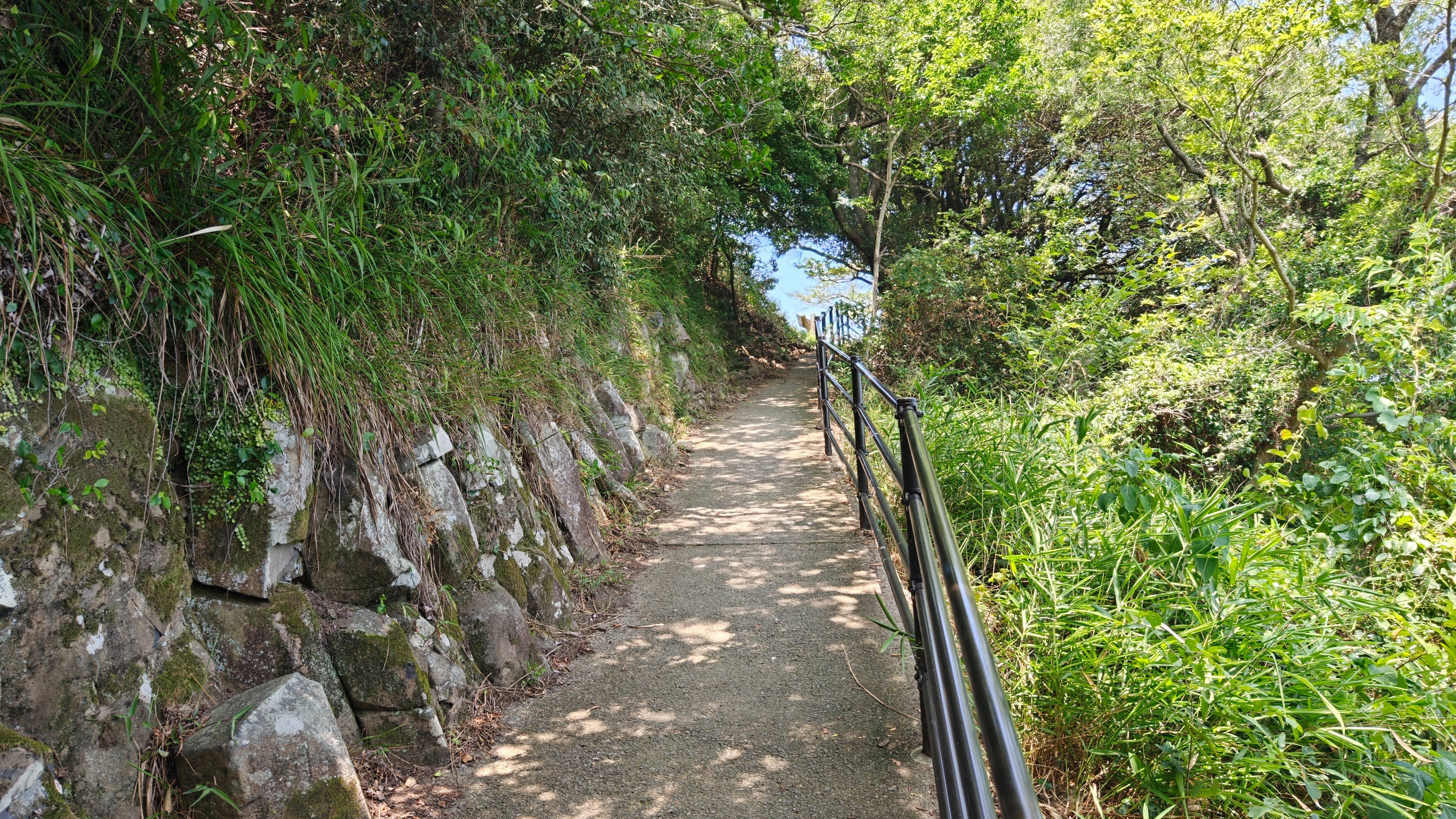 IMG20250710120458